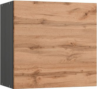 HELD MÖBEL Hängeschrank Tempa in Bunt, B/H/T: 60 x 57 x 34 cm - Bild 1