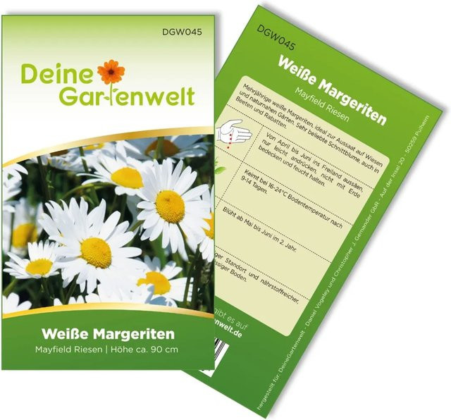 Deine Gartenwelt Margerite Weiß Samen für Wiesen, Beete und Rabatten - Bild 1