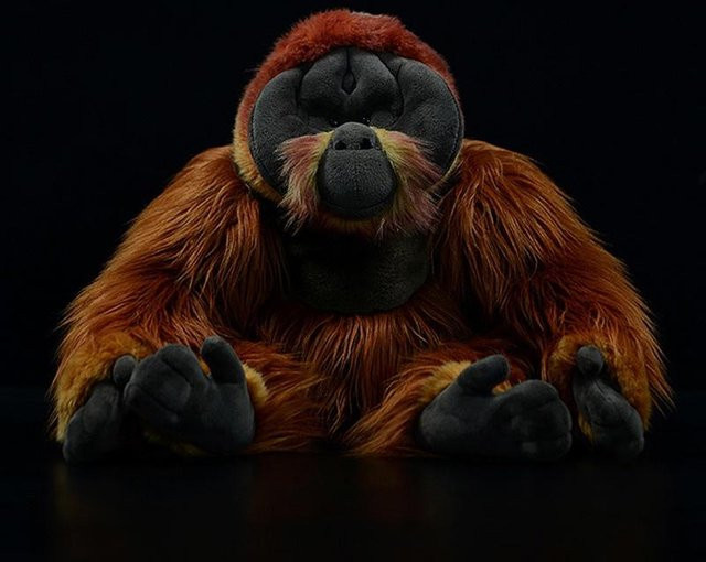 choubo fifteen Orang-Utan Plüschtier - Bild 1