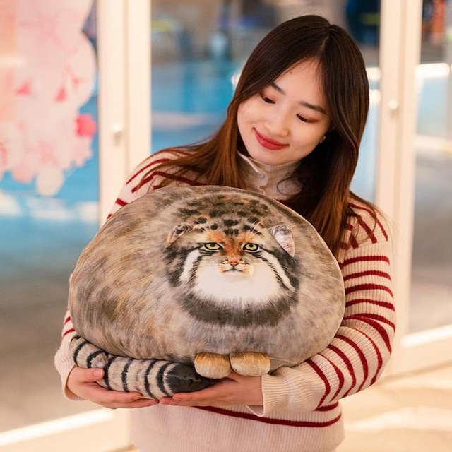 Yiran Health & Beauty Pallas-Katzen-Plüsch-Körperkissen, Tiere, ab 14 Jahren - Bild 1