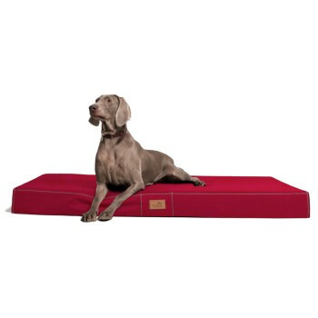 Tierlando HUGO BASIC Hundematratze dunkelrot B: 80 cm, H: 13 cm, T: 100 cm - Bild 2