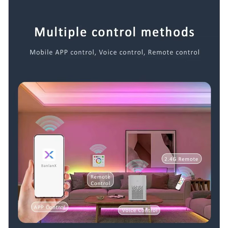 Balanx SP530E LED Controller mit WiFi, Bluetooth und RF für SK6812, WS2811 und COB 5050 Pixel, 5-24VDC, 5CH PWM mit App-, Sprach- und Fernbedienungssteuerung - Bild 2