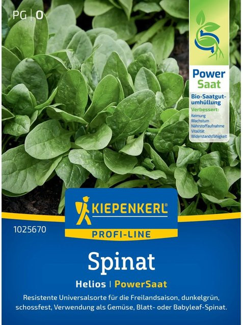 Kiepenkerl Spinat Helios Sorte Spinacia oleracea Gemüsesamen - Bild 1