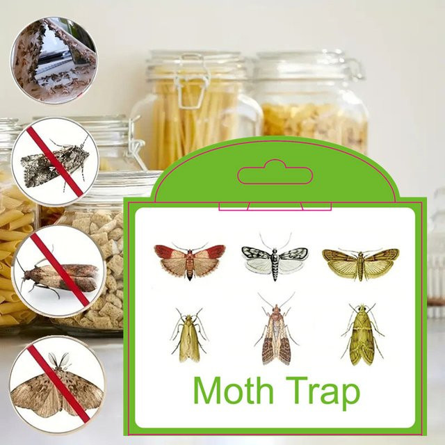 SilentKing Mottenfallen Set mit Pheromon-Mottenstickern zur Schädlingsbekämpfung in Weiß, 6 Stück für Vorratskammer, Küche, Kleidung und Garten - Bild 1