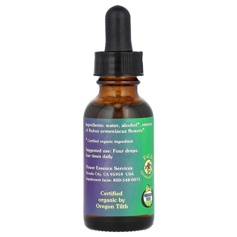 FES Quintessentials Mûre Élixir Floral in der braunen Glasflasche, 30 ml - Bild 2