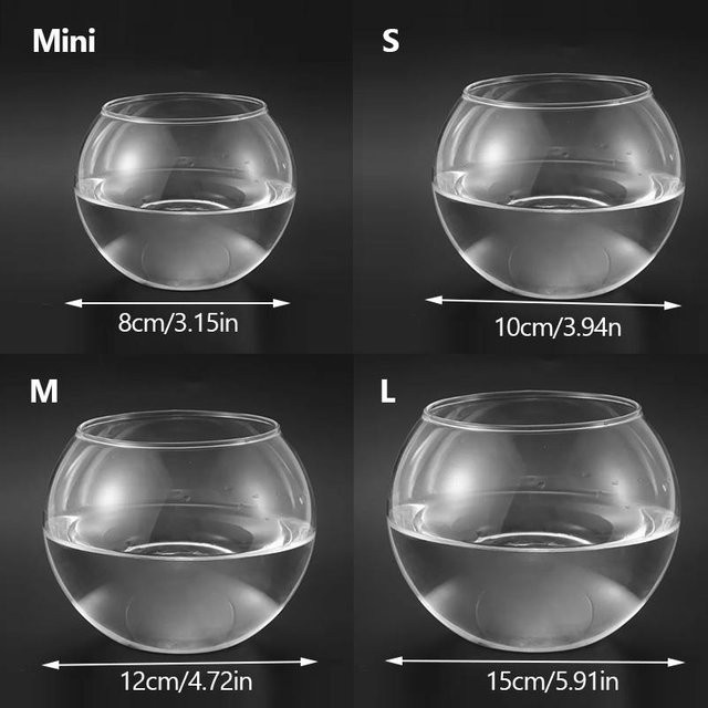 Runde Kugelvase von 1HomeJoy aus Glas in Transparent und Grau für Mikro-Landschaften und Hydroponik, Durchmesser: 8 cm - Bild 1