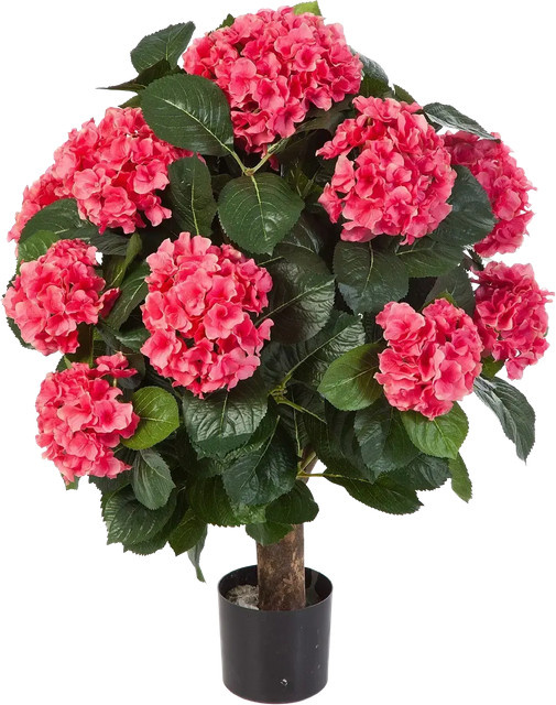 Künstliche Hortensie Nils von Aplanta, Höhe: 62 cm - Bild 1