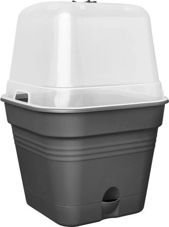 Elho Anzuchttopf Green Basics All-in-One Schwarz B/T/H: 19,5 x 19,5 x 16,5 cm