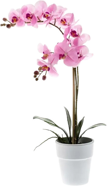 Künstliche Orchidee Dolores von Aplanta, Höhe: 65 cm - Bild 1