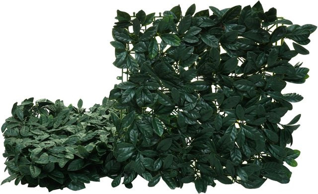 MCW Wandfliese L78 Sichtschutzhecke Lorbeer Grün, 4 Stück, B/H: 50 x 50 cm - Bild 1