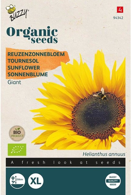 Buzzy Organic Sonnenblume Riesen Bio Blumensamen für den Garten - Bild 1