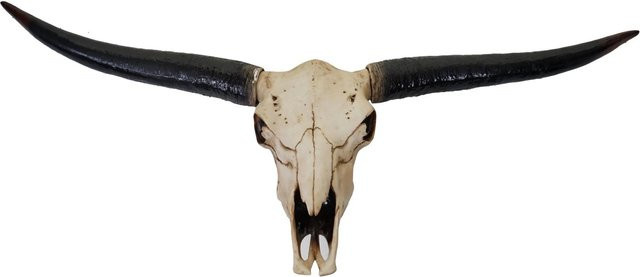 MCW Deko Schädel Stier Longhorn Kopf aus Polyresin in Naturfarben, Höhe: 132 cm - Bild 2