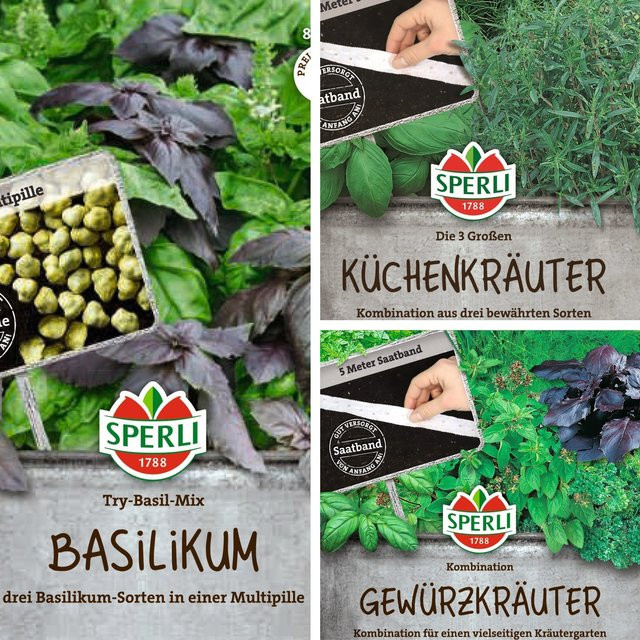 SPERLI Samen-Set Der einfache Kräutergarten mit 3 Sorten Saatgut in Mehrfarbig - Bild 1