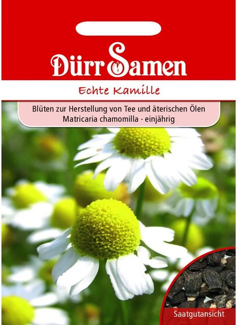 Dürr Echte Kamille Saatgut für Frühjahr und Herbst 50 g - Bild 1