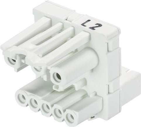 Wieland Electric Verteiler 91.050.3251.0 in Weiß - Bild 1