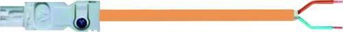 Finder AC-Anschlussleitung für LED-Leuchte mit Buchse, Länge: 3 m, Farben: Orange und Weiß, Modell 07L.33 - Bild 1
