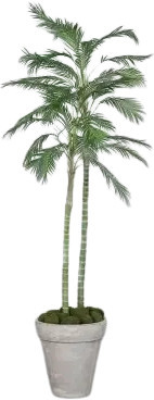 Künstliche Chico Palme Richi von artplants in Grün, Höhe: 180 cm - Bild 1