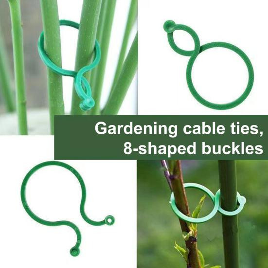 Talos home Garden Gartenpflanzenklammern aus Kunststoff für Innen- und Außenbereich, 100 Stück - Bild 4