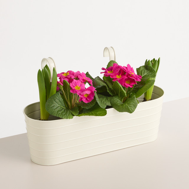 BLUME2000 Balkonkasten Rille aus Metall in Creme/Beige, B/T/H: 42,0 x 25,0 x 14,5 cm - Bild 1