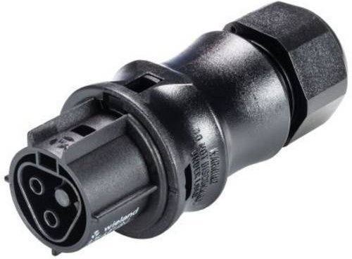 Wieland Electric RST CLASSIC Rundstecker Kupplung 96.021.4053.1 gerade, 2er Serie, Schwarz - Bild 1