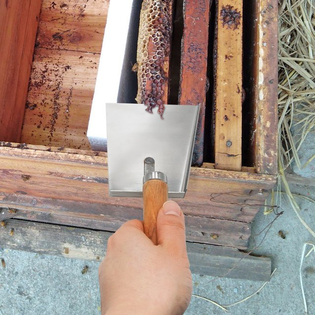Glor ious Future Bienenstock-Schaber aus Edelstahl in Silber zur Imkerei-Reinigung - Bild 1