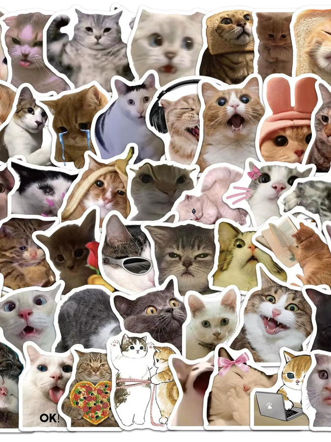 50 Stück Lustige Katzen-Meme Aufkleber in Multicolour für Laptop, Handy und Scrapbooking - Bild 6