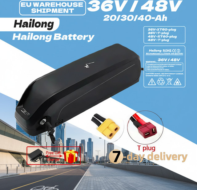 Hailong Akku-Pack für Zweirad-Elektrofahrzeuge mit integriertem BMS, Schwarz, XT60 Anschluss - Bild 1