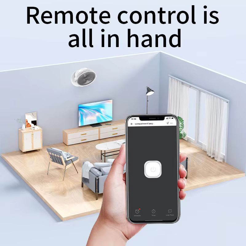 EWeLink WLAN Smart Switch Timer mit RF 2.4G Fernbedienung, Wandmontage, kompatibel mit Amazon Alexa und Google Assistant, Schwarz - Bild 2