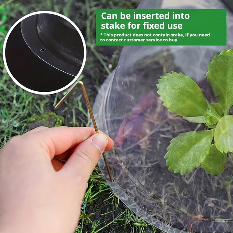 10 Stück transparente Kunststoff-Pflanzenschutz-Feuchtigkeitskuppeln als wiederverwendbarer Gartenschutz für dein Gemüse zur Abwehr von Insekten und Vögeln - Bild 2