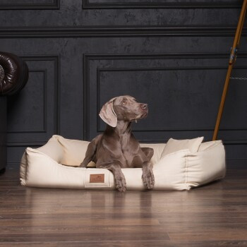 Tierlando MADDOX KOMFORT Hundebett Hundesofa aus Kunstleder in Creme mit abnehmbarem Bezug, B/T/H: 150 x 100 x 25 cm - Bild 2