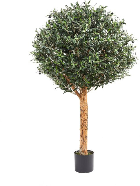 Künstlicher Olivenbaum Eleutherios von Aplanta, Höhe: 180 cm - Bild 1