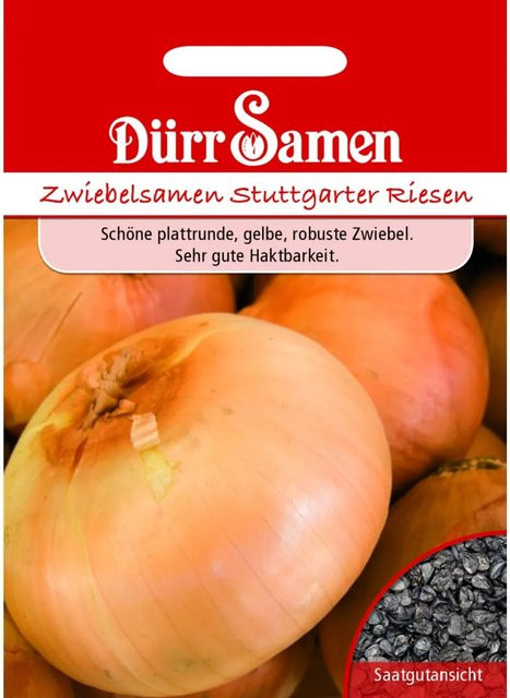 Dürr Sommerzwiebeln Stuttgarter Riesen Saatgut für Gemüse und Salat - Bild 1