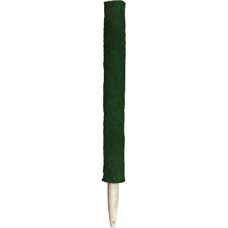 Peacock Kokos-Pflanzstab Grün Durchmesser: 4 cm, Höhe: 60 cm - Bild 2
