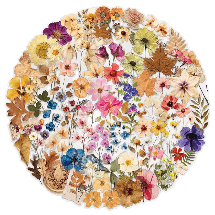 Charile Retro Ästhetische Pflanzen und Blumen Graffiti Aufkleber, Multicolour, Botanische Natur Motive aus Papier für Laptop, Telefon und Tagebuch - Bild 2