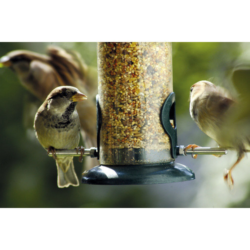 DOBAR Vogelfuttersäule aus Kunststoff und Metall in Grün - Bild 2