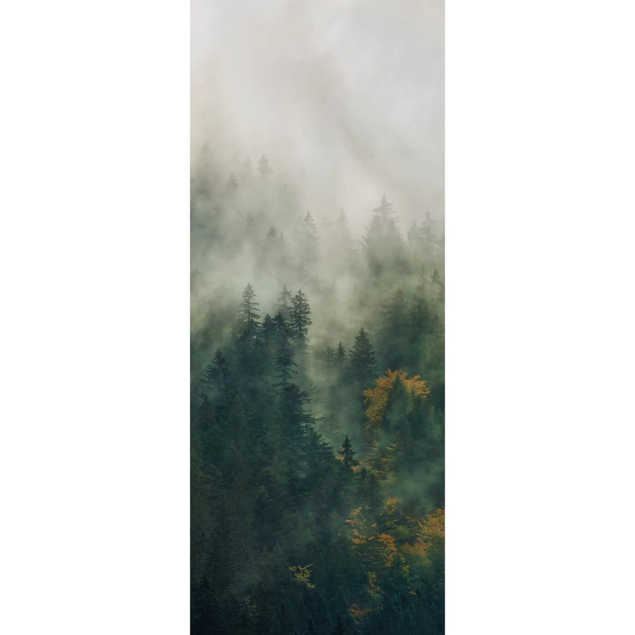 Komar Fototapete Vlies Tales of the Carpathians Multicolor B: 100 cm, H: 250 cm - Bild 2