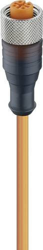 Lumberg Automation 11393-10 Sensor-Aktor-Steckverbinder M12 Buchse gerade orange 4-polig 2,00 m - Bild 1