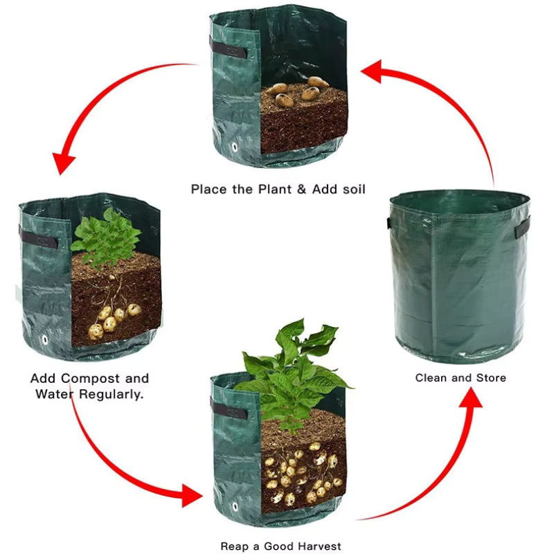 Garten Anbau Beutel aus PE für Gemüse wie Kartoffeln und Karotten zum Pflanzen im Freien - Bild 5