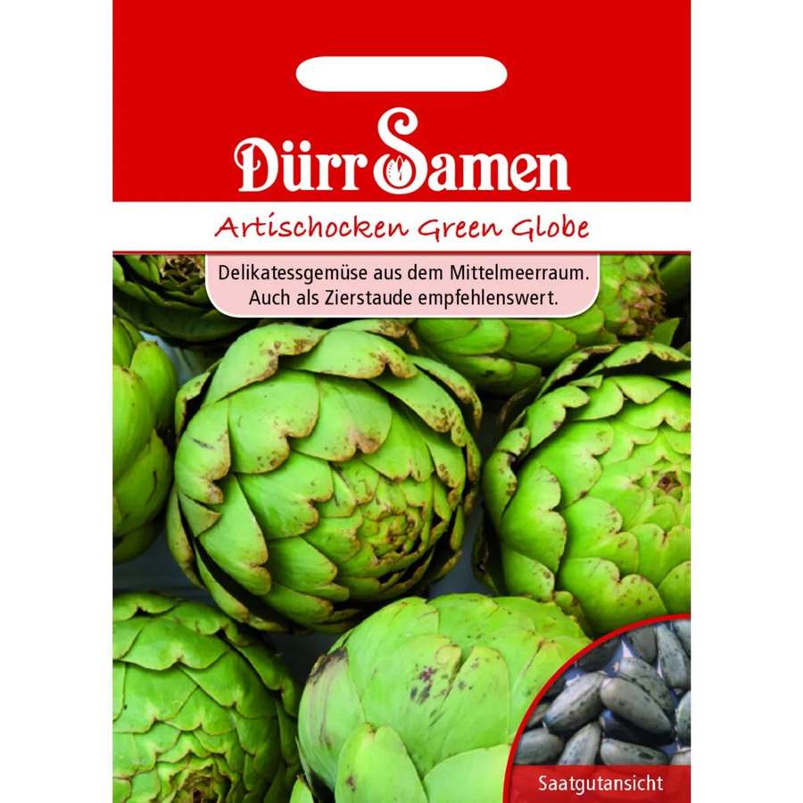 Dürr Artischocken Green Globe Saatgut für Gemüse und Zierstauden - Bild 2