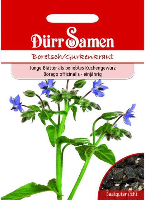 Dürr Boretsch Gurkenkraut Saatgut für den Küchengarten und das Gemüsebeet, 50 g - Bild 1