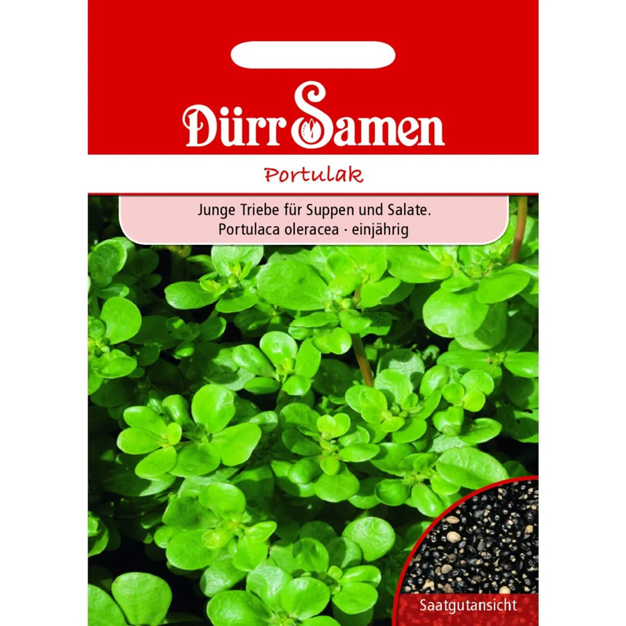 Dürr Portulak Saatgut für den Gemüsegarten - Bild 2