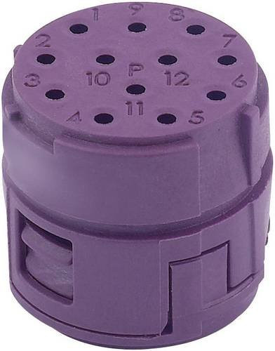 LAPP EPIC CIRCON M23 Bucheneinsatz 17P in Purple - Bild 1