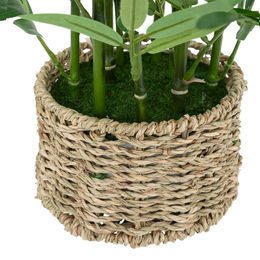 Künstlicher Bambus Ly von Atmosphera in Grün mit Topf B: 30 cm, H: 46 cm - Bild 1