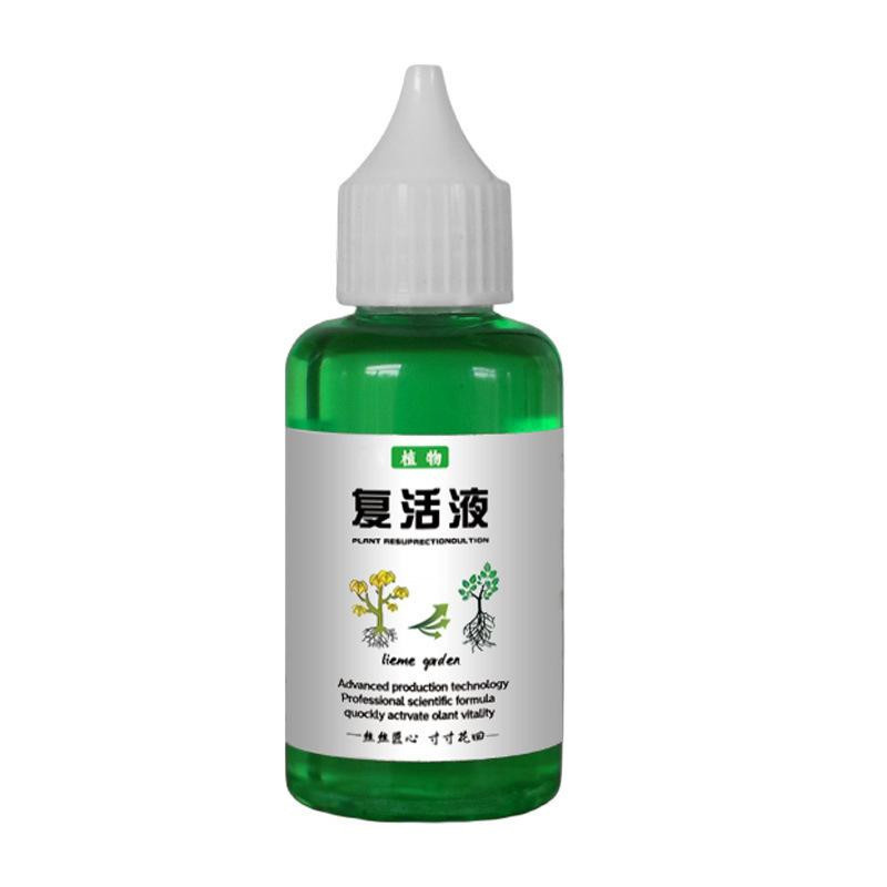 Revive Pflanzenflüssigkeit zur Regeneration von gelben Blättern und leblosen Pflanzen für Obst, Gemüse, Grünpflanzen und Blumen, 30 ml, grün - Bild 2