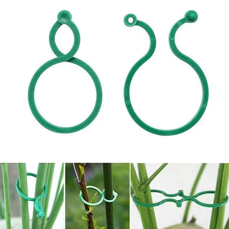 Grüne Kunststoff Reben Umreifung Clips zur Unterstützung wachsender Pflanzen als Halter für die Gartenarbeit - Bild 5