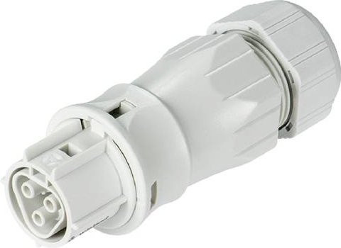 Wieland Electric 96.031.4553.0 Steckverbinder - Bild 1