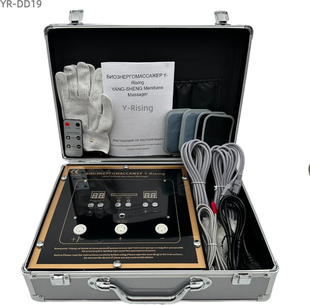 Y-Rising DDS Bioelektrisches Gesundheitstherapiegerät, Iontophorese-Therapiegerät - Bild 1