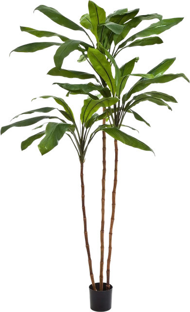 Aplanta Künstliche Lilie Isabell, Höhe: 240 cm - Bild 1