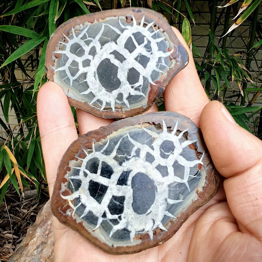 Marokkanischer Schildkrötenrücken-Stein von CrystalHola in Multicolour für Heimdekoration und Schmuckherstellung - Bild 3