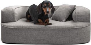 Tierlando LOTTE VISCO PLUS Orthopädisches Hundesofa in Schwarz/Graphit mit abnehmbarem Bezug und rutschfester Unterseite, B/T/H: 80 x 60 x 30 cm - Bild 1